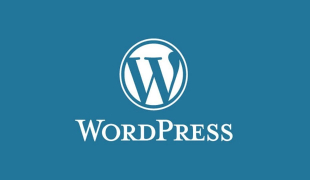 WordPress-Development